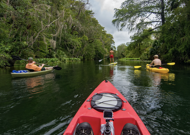 kayakers in the springs of Central Florida