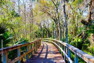 hiking trails in Wesley Chapel, FL